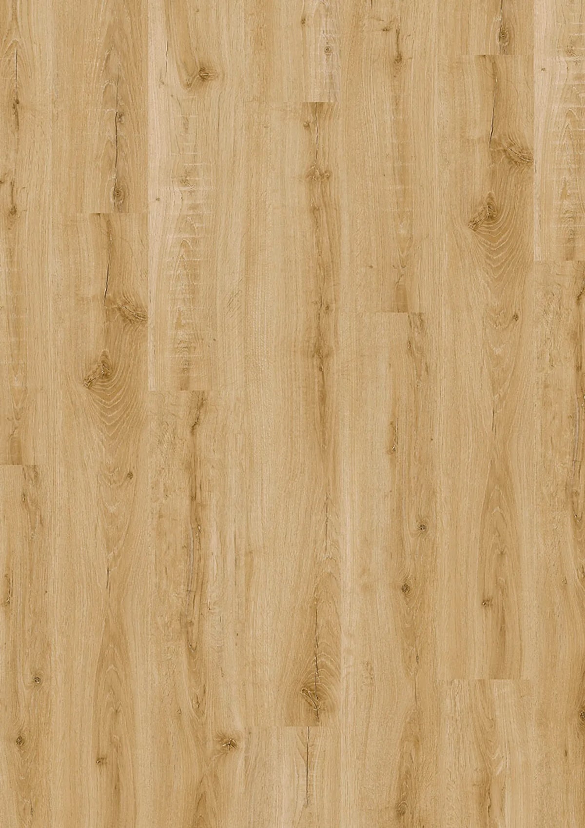 Kostenloses Muster 5913 Golden Oak JOKA Evolut Dryback