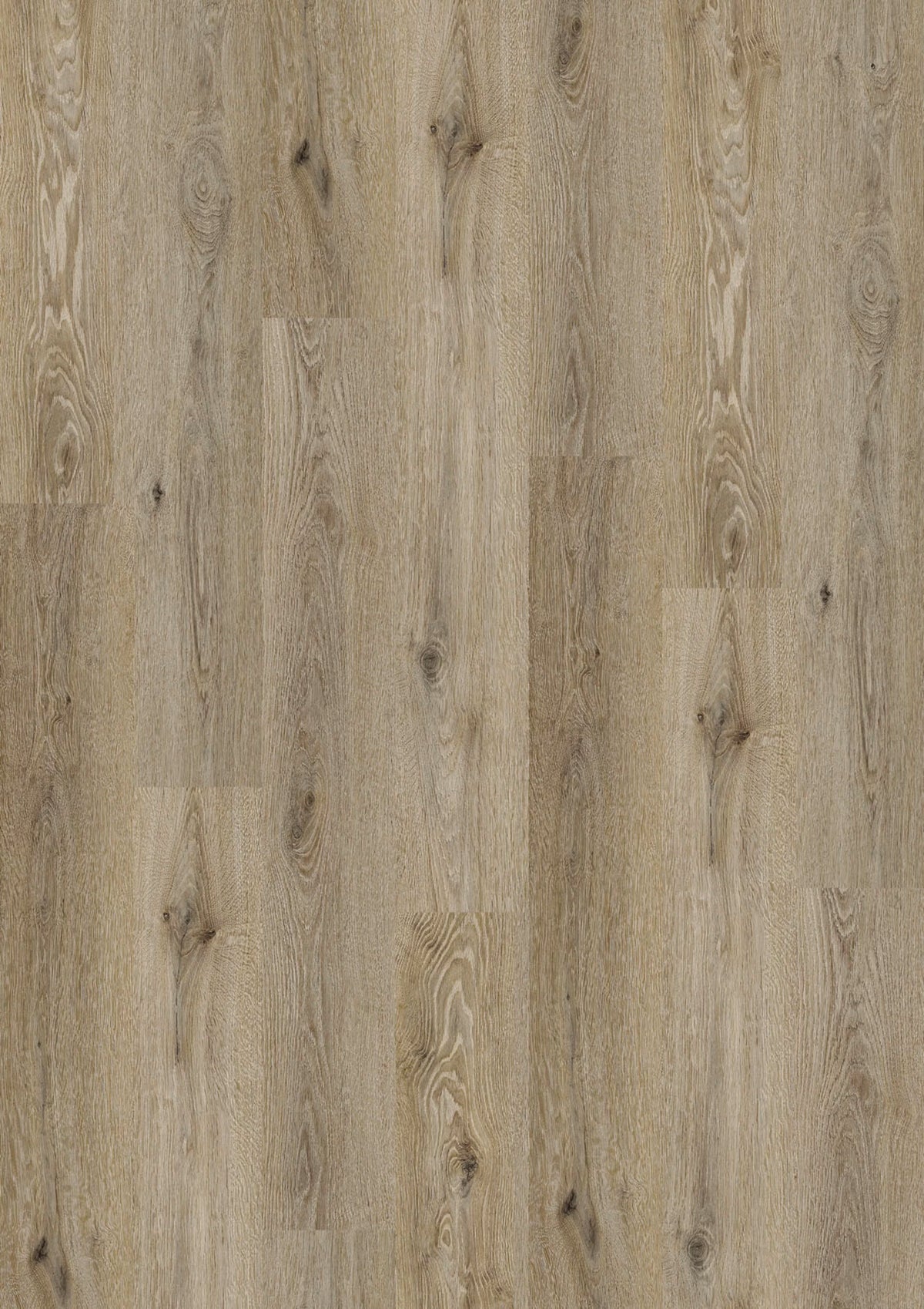 Kostenloses Muster JOKA 5541 Smoky Oak
