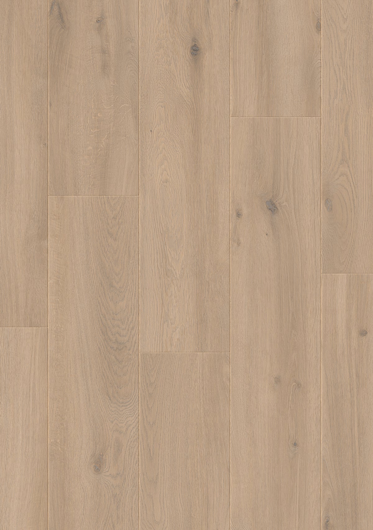 JOKA Xplora NEXT 833 Wide Timeless 8882 Oak rustic bright V4 Naturdesignboden