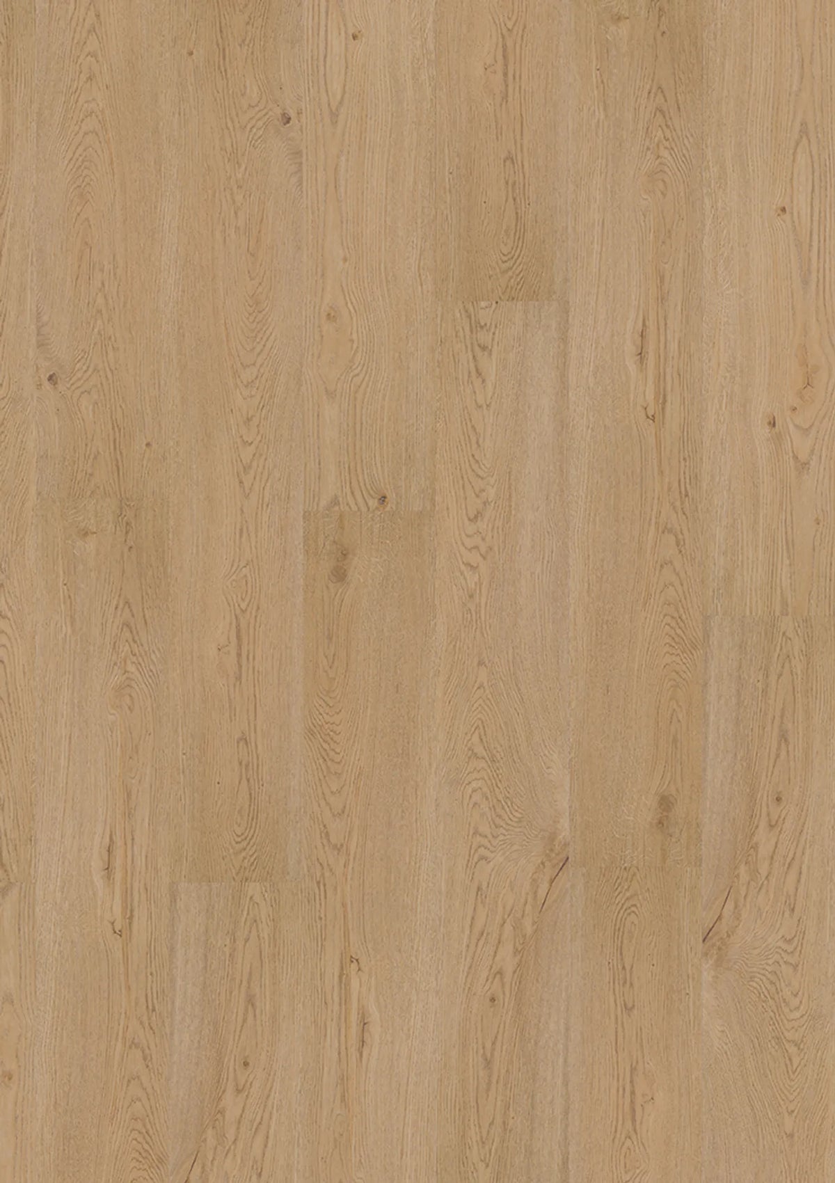 JOKA Design 340 Dryback 2881 Earthy Oak EIR Klebevinyl