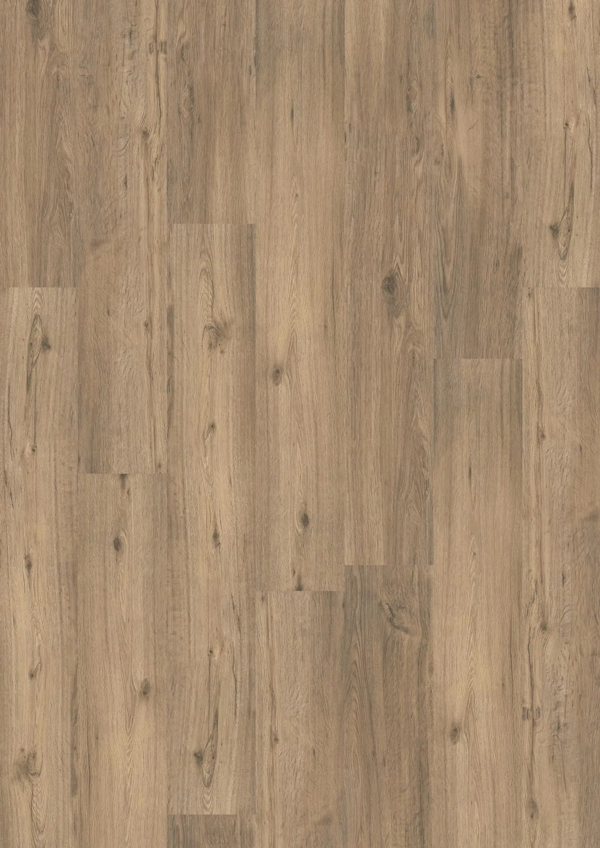 Kostenloses Muster 5509 Spring Oak JOKA Design 555 Dryback