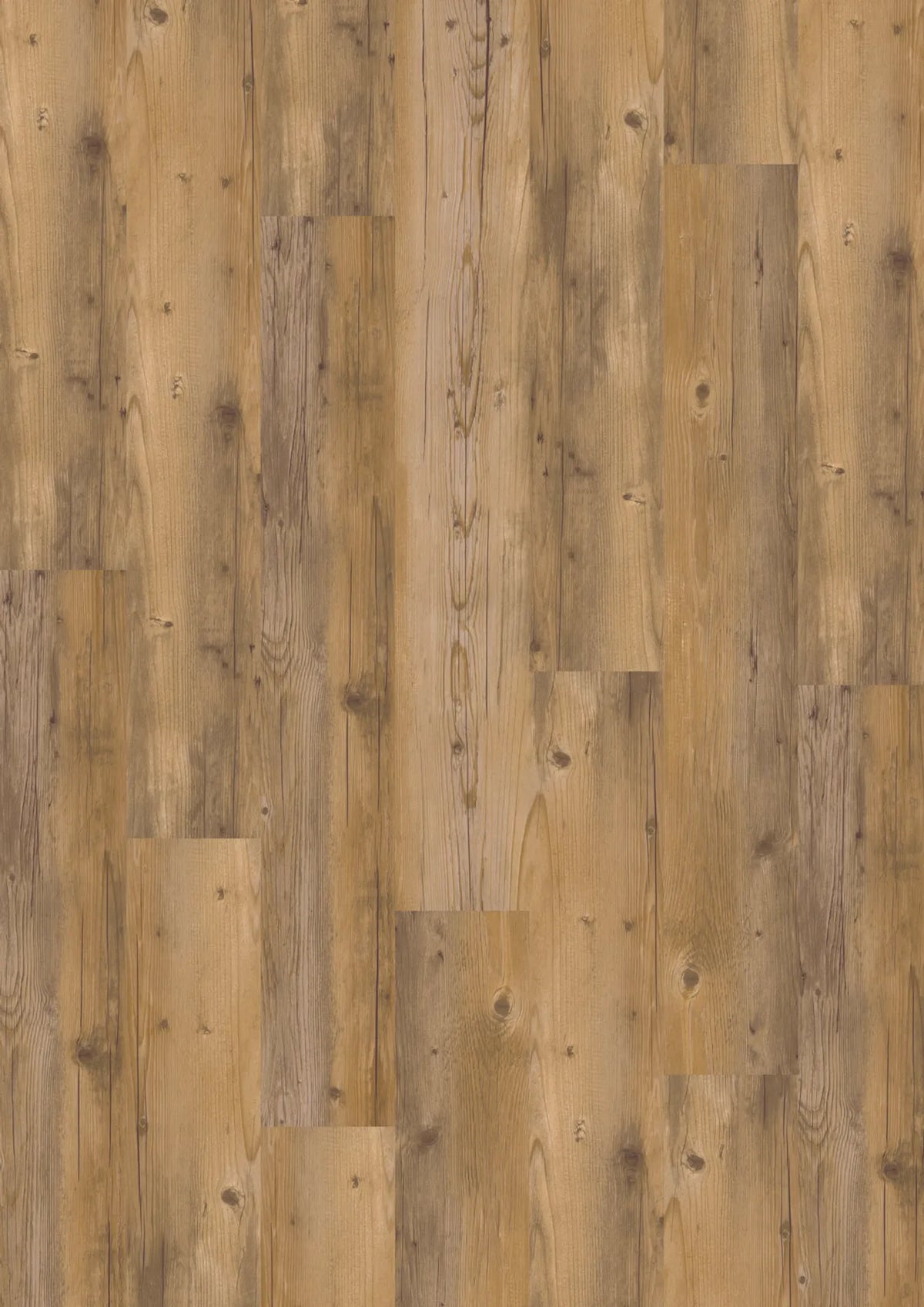 Kostenloses Muster 5407 Blond Pine JOKA Design 555 Dryback