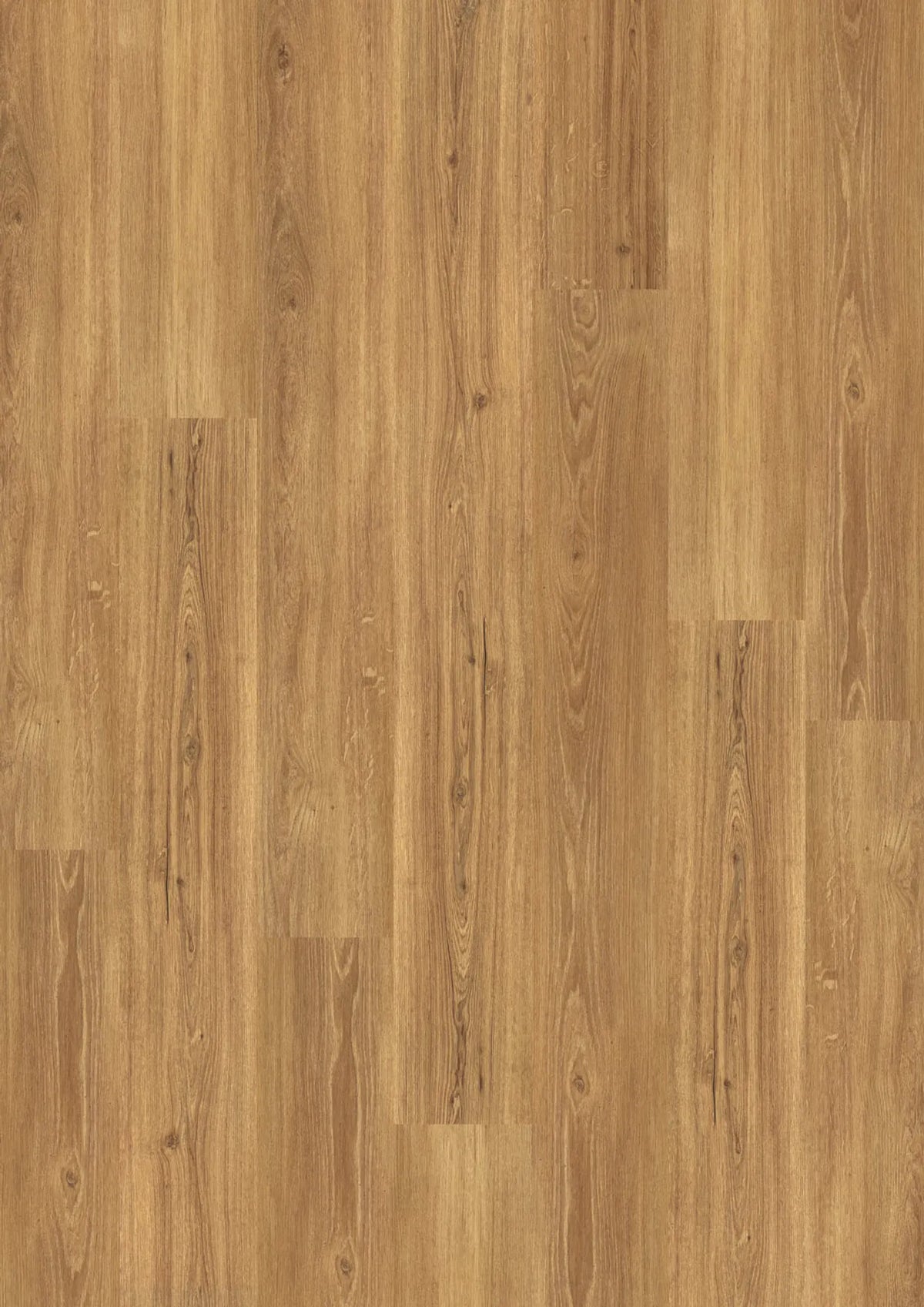 Kostenloses Muster 5208 Incredible Classic Oak JOKA Design 555 Dryback