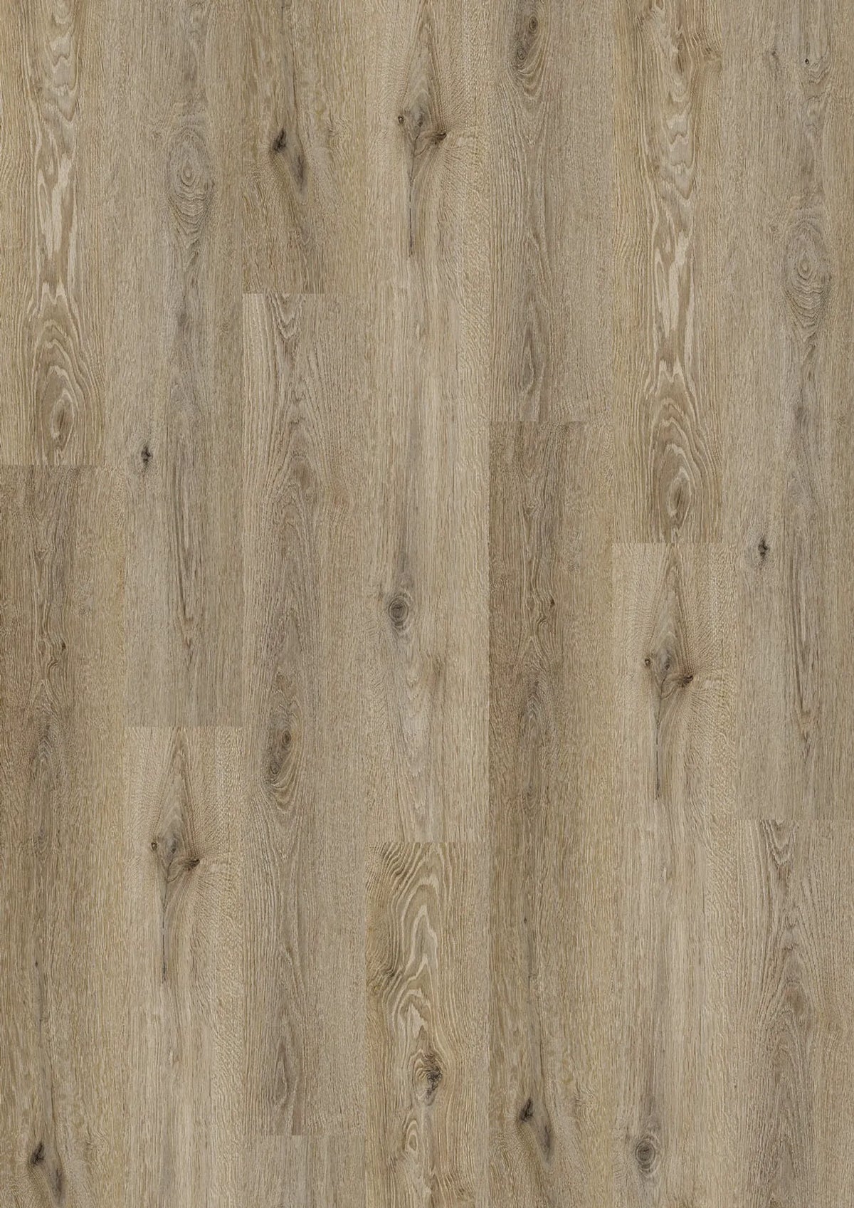Kostenloses Muster 5541 Smoky Oak JOKA Design 555 Dryback
