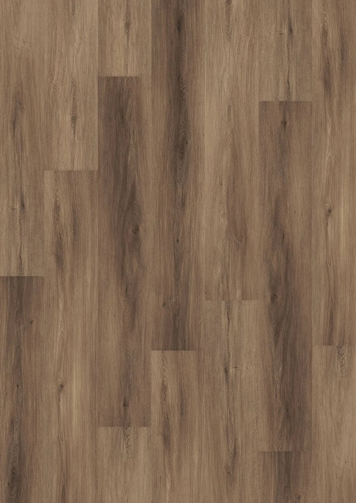 Kostenloses Muster 5311 Cinnamon Oak JOKA Design 555 Dryback