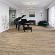 JOKA Design 555 Evolut Dryback 5907 Taupe Oak EIR Klebevinyl