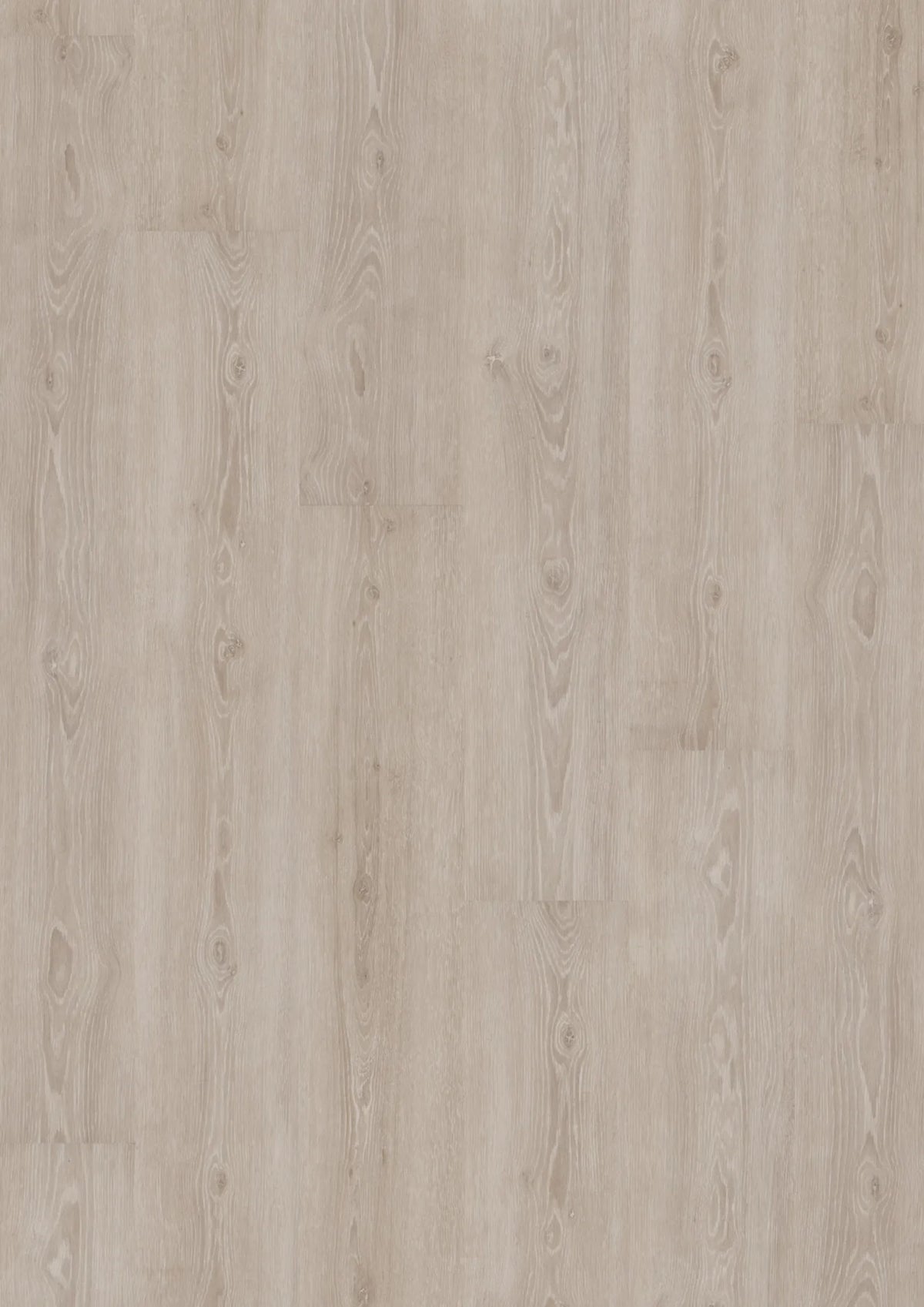 JOKA Design 555 Dryback 5303 Perfect Grey Oak Klebevinyl