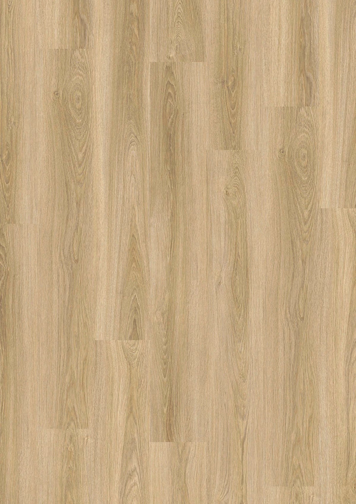 JOKA Design 555 Evolut Click 902 Frosty Oak Klick Vinyl