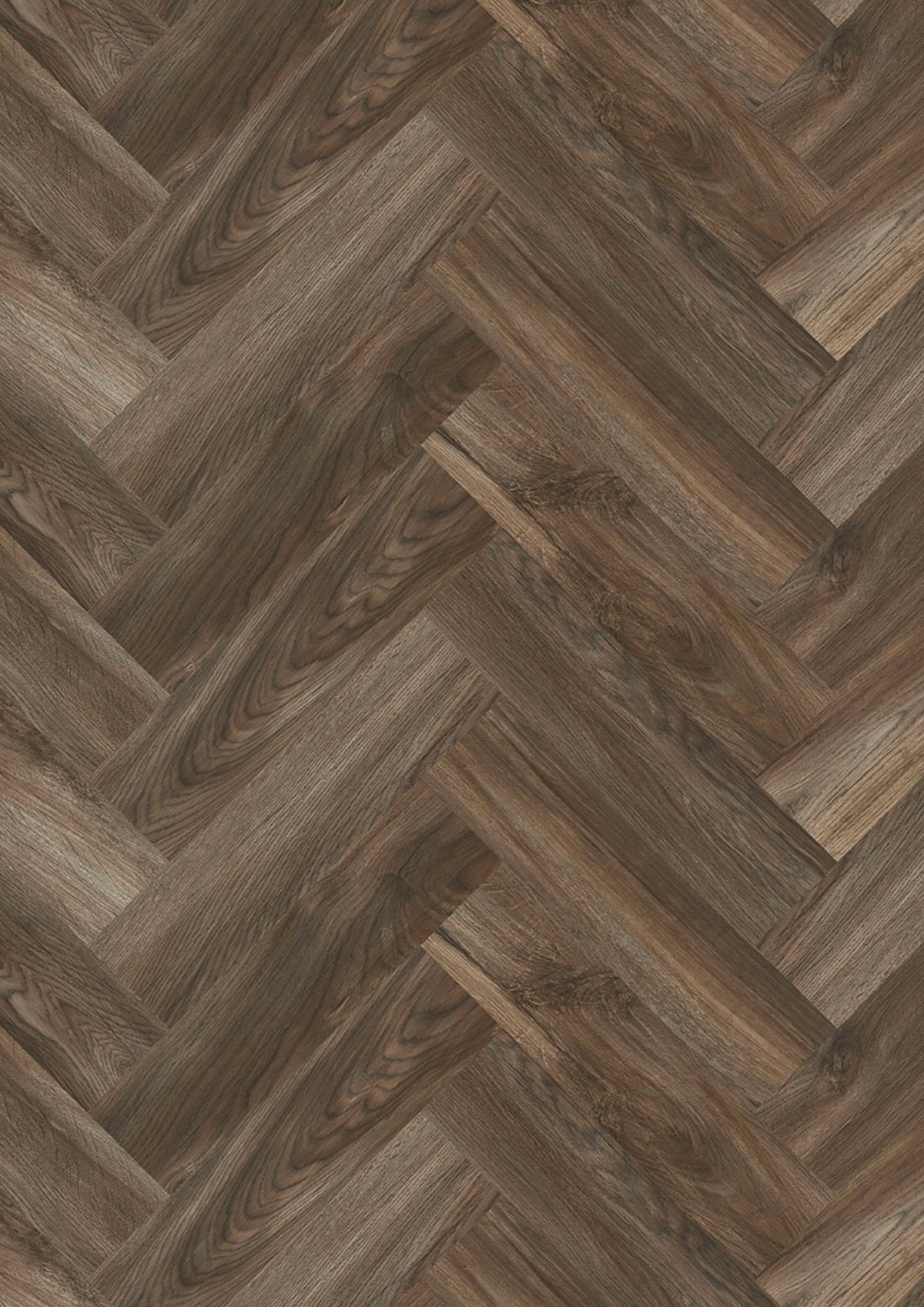JOKA Design 555 Evolut 106 Mud Oak EIR Fischgrät Klick Vinyl