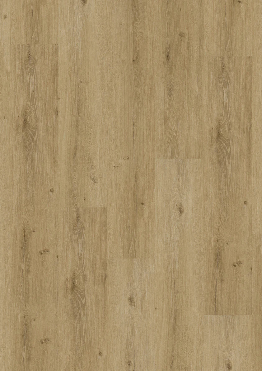 INKU Homeline 30 Click 31-20 Steineiche Klick Vinyl