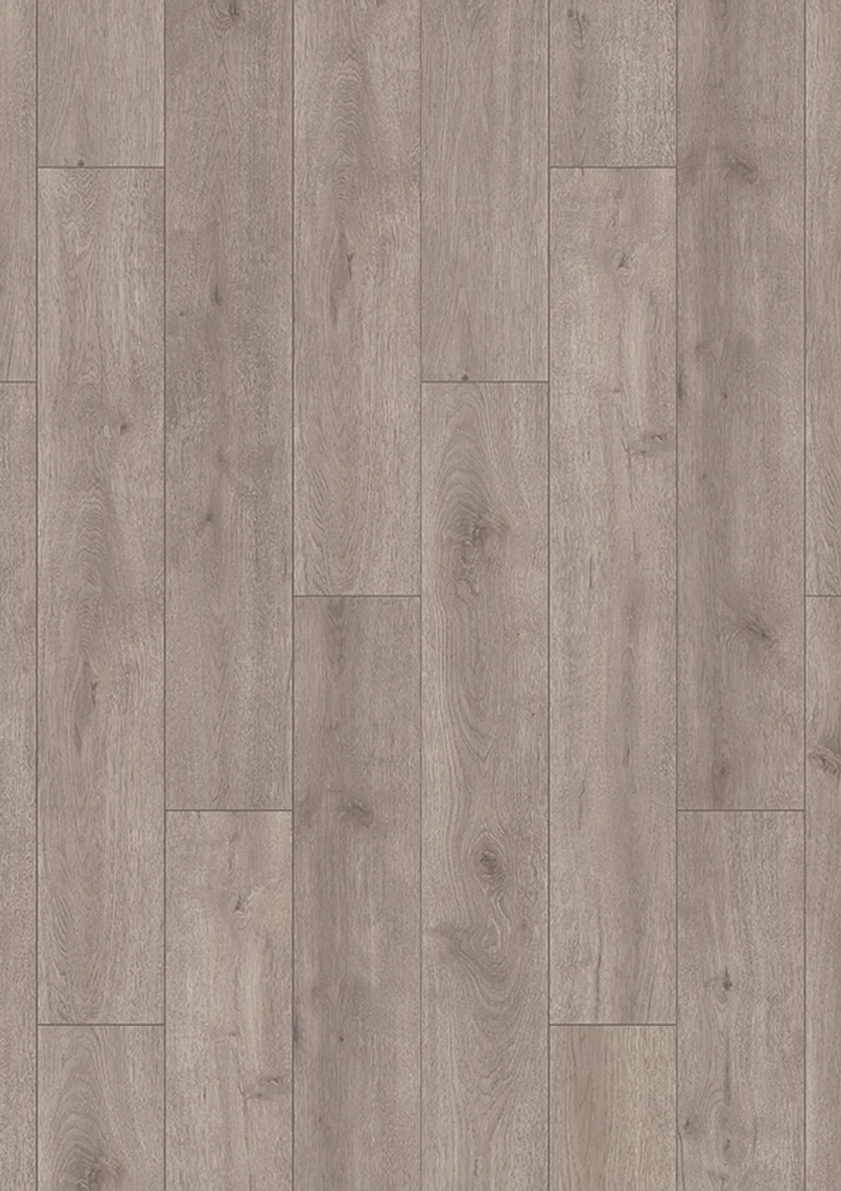 INKU HOMEline Basic 31NP 3242 Oak graphit warm Laminat