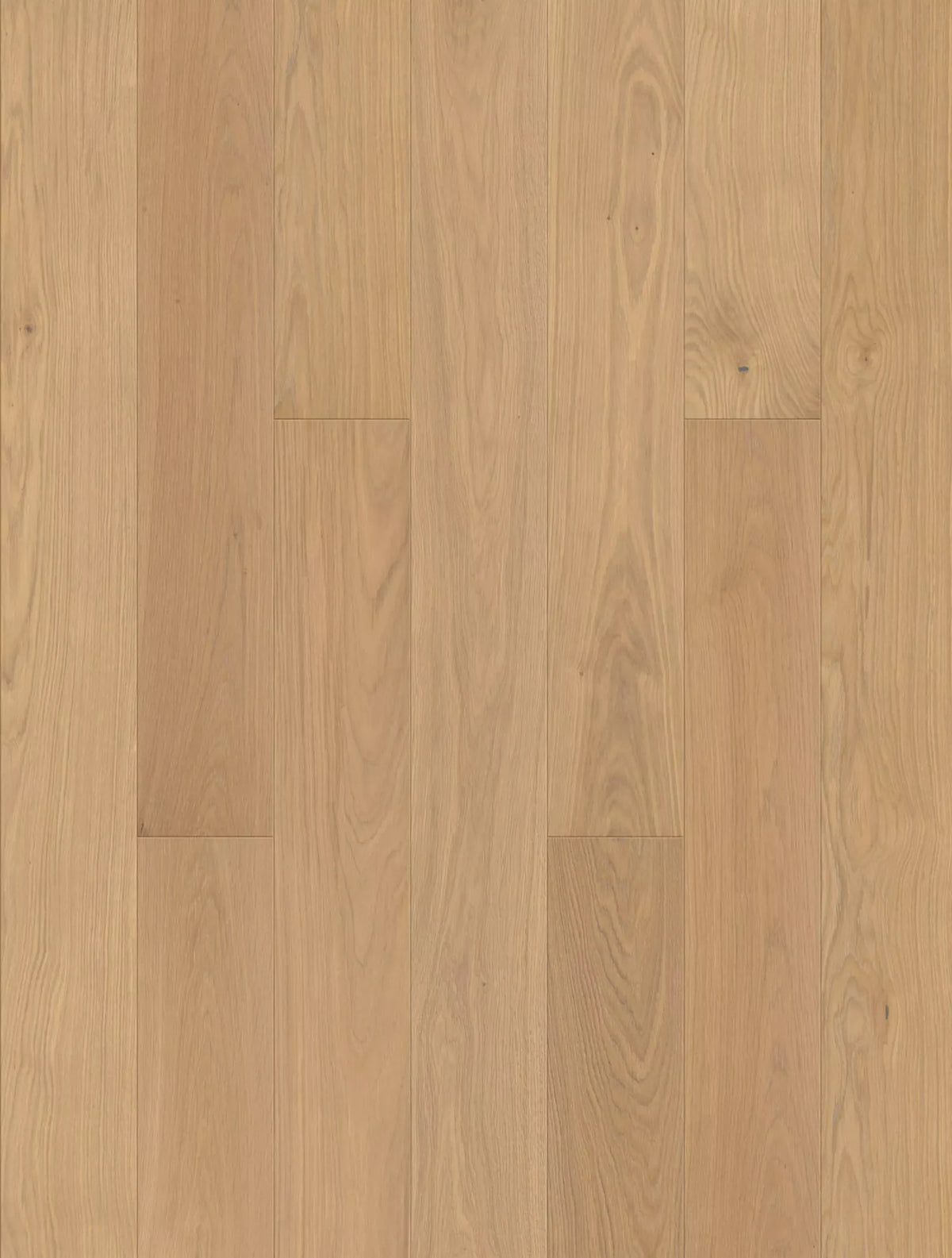JOKA Calgary 435LD E0214 Eiche Creme Elegance 220 Öl V4 Landhausdiele Parkett Dekoransicht