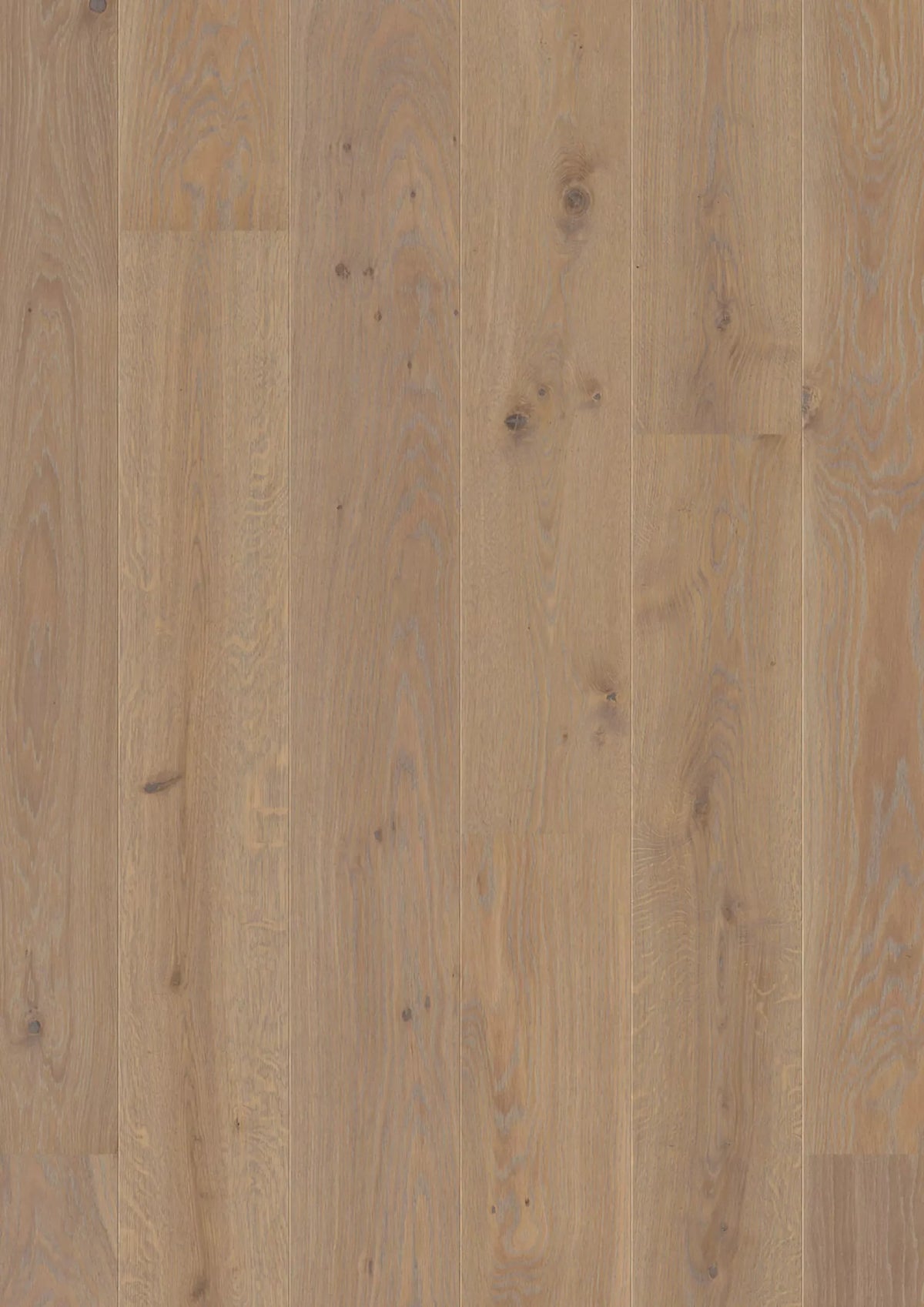 JOKA Calgary 527 LD E3406 Eiche Stone Nature Versiegelt Landhausdiele Parkett