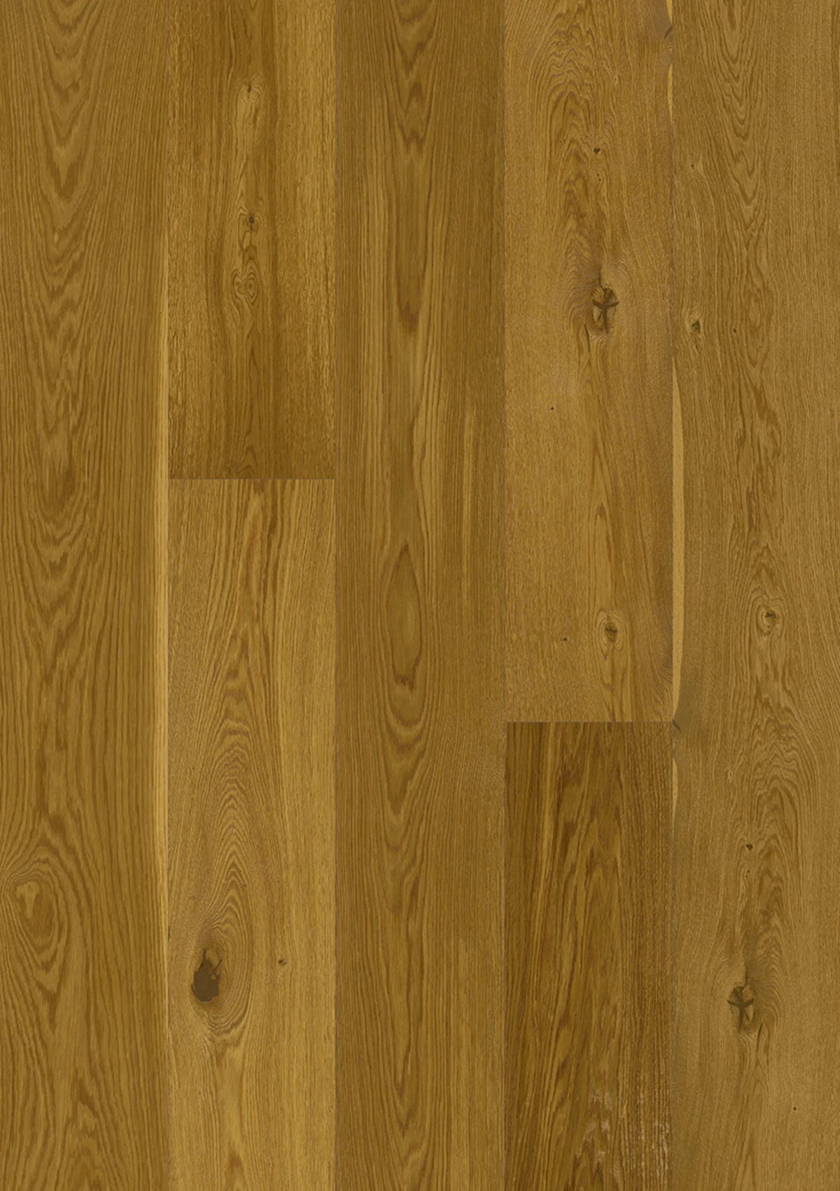 JOKA Calgary 545LDX E7465 Eiche Honey Barrique Villa Öl 2390 mm Fertigparkett Landhausdiele
