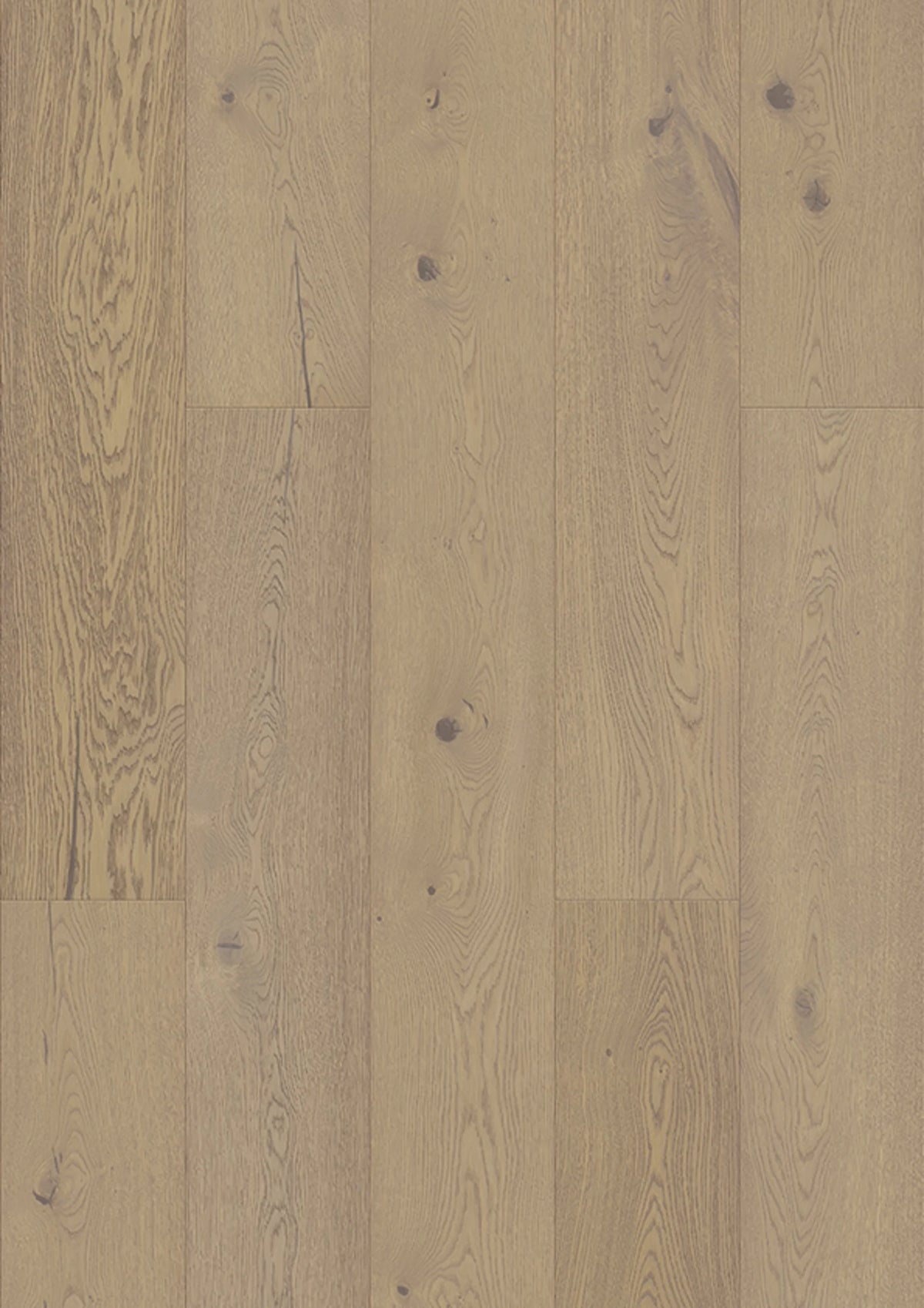 JOKA Calgary 545LDX E7469 Eiche Spring Barrique Villa Öl 2390 mm Fertigparkett Landhausdiele