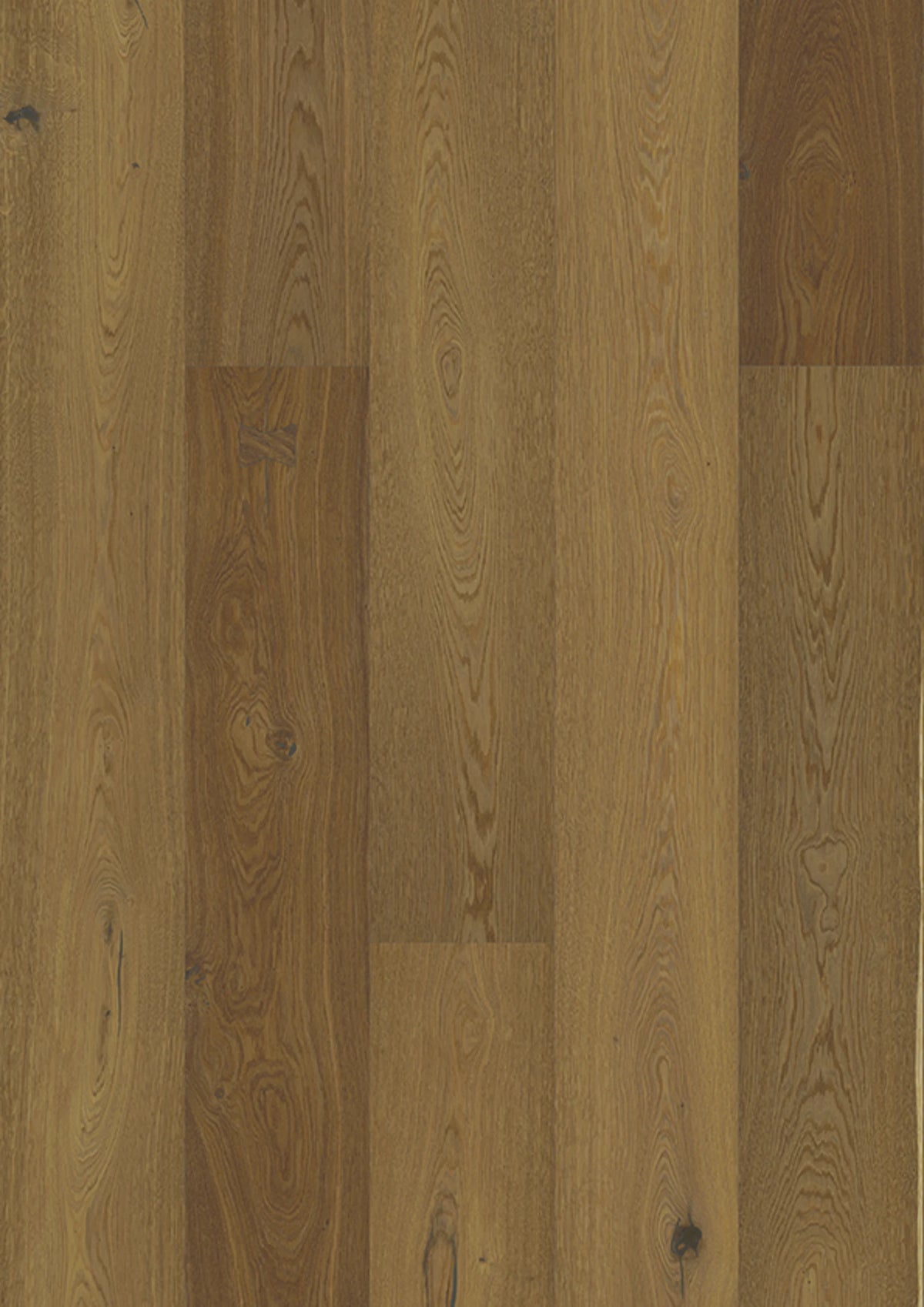 JOKA Calgary 545LDX E7498 Eiche Capo Barrique Villa Öl 2390 mm Fertigparkett Landhausdiele