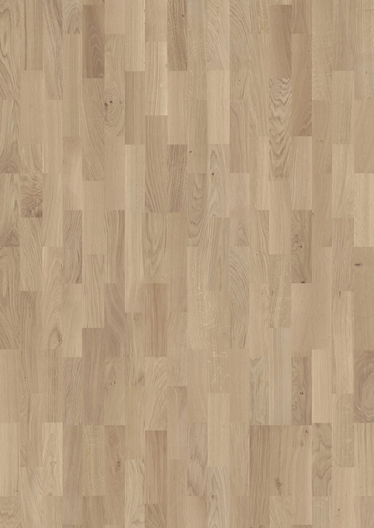 JOKA Kingston 535 SB E1824 Eiche creme NATURE ÖL Fertigparkett Schiffsboden