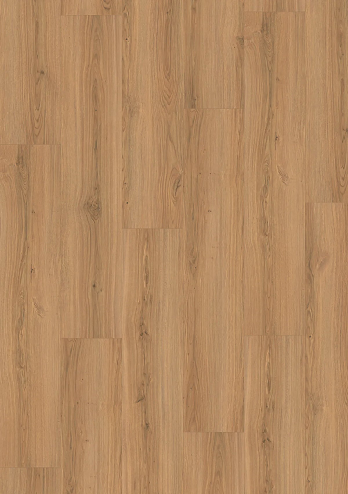 JOKA Skyline 532WP 5824 Oak capital warm Laminat